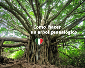 como hacer un árbol genealógico