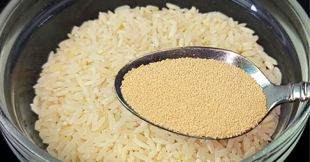 Si quieres preparar un pastel distinto a los tradicionales aquí te vamos a enseñar Como hacer bizcochuelo de arroz ¡Ideal para compartir!